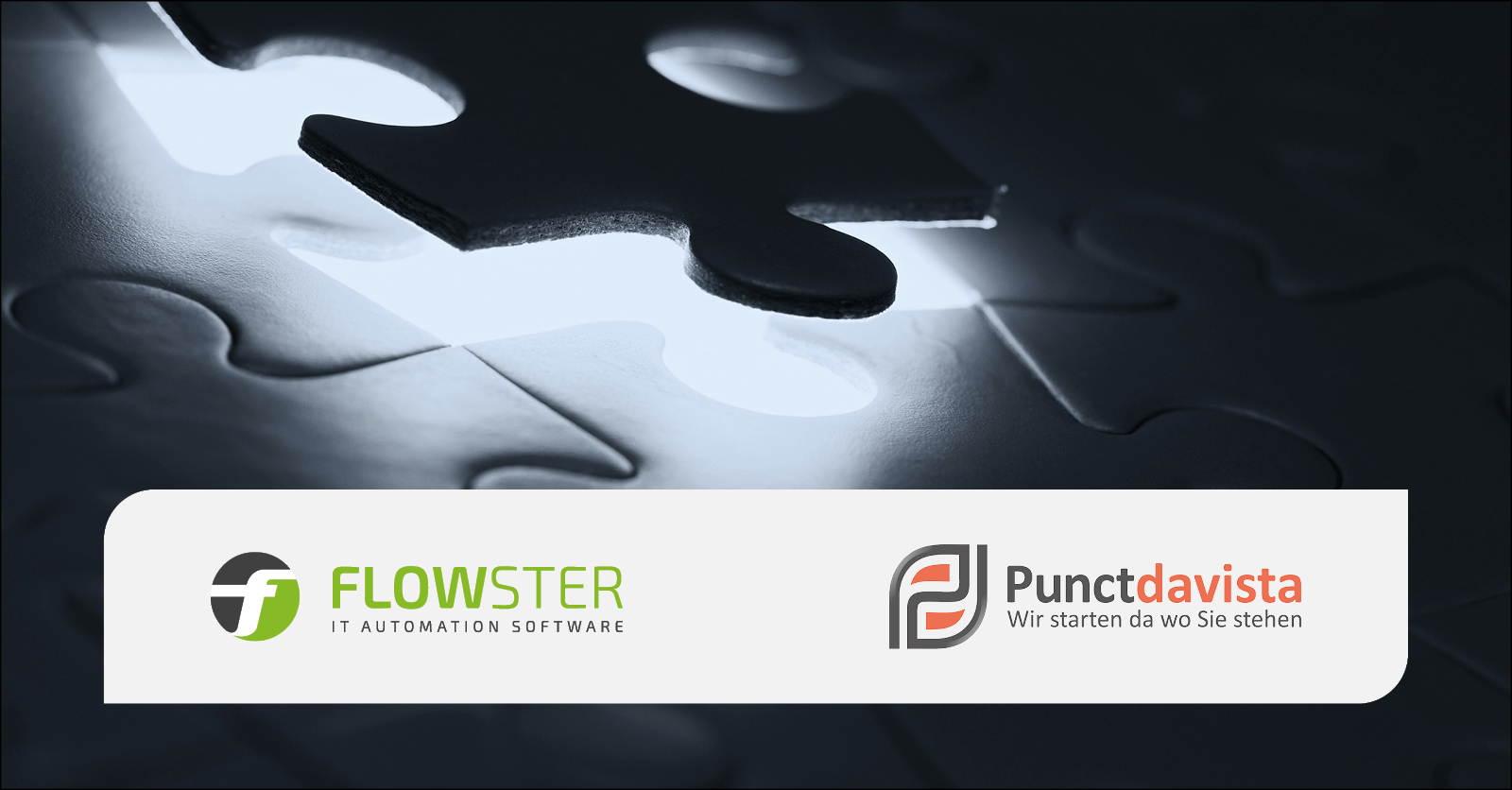 Flowster Solutions and Punctdavista Enter Partnership